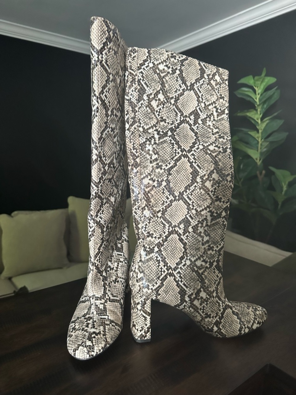 Zara Snake Print Knee-High Block Heel Boots - Neutral Python